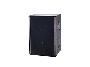 IP室内音箱 HIP-9008